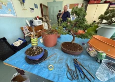 Atelier du 12 avril 2025